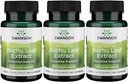 Swanson Buchu Leaf - 4:1 Ekstraksiyon - Herbal Supplement - (60 Capsules, 100 mg Her) 3 Pack