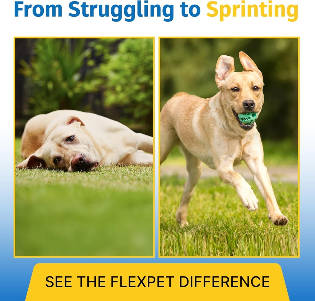 Hip & Common Supplement for Dogs & Cats with Cetyl Myristoleate, Glucosamine, Collagen, MSM - Hareketliliği, Yaşlı Evcil hayvanlar, Küçük ve Büyük Breeds - 180 Tablet (Pork Liver)