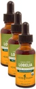Βότανο Pharm Certified Organic Lobelia Liquid Extract για την υποστήριξη του μυοσκελετικού συστήματος - 1 ουγγιά (DLOBEL01) (πακέτο των 3)