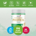RENEVA Vegan Protein Toz | 15g Plant Based protein from Pea and Rice | Gluten Free, Dairy Free, Lactose Free, Soy Free, Zero Sugar (Doly sweetated with Stevia) | 12.7 Ounce Resealable Canister