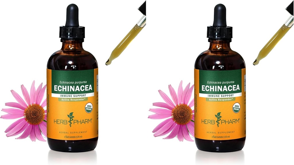 Herbm Phar Immune System Support için Organik Echinacea Root Sıvı Türlemeyi Onayladı, Organik Cane Alkol, 4 Ounce (Pack of 2)