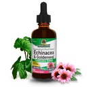 Doğanın Yanıtı Echinacea & Goldenseal ile Organik Alkol, 2Fluid Ounces