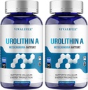 Ουρολιθίνη Συμπλήρωμα 1000 mg, 180 Softgels Ισχυρή Αντιοξειδωτική Προστασία, Προώθηση Υγιούς Γήρανσης & Μιτοχονδριακής Υγείας και Επισκευής Κυττάρων Υποστήριξη για Άνδρες & Γυναίκες