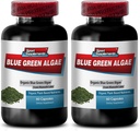 Klamath Gölü'nden Pure Green Superfood Healthier ve Younger Search Skin - Blue Green Algae 500 mg, Blue Green Algae Capsules, Blue Green spirulina, spirulina, klorella - 2B 120 Cap