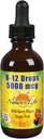 Nature's Life B-12 Drops, Methlycobalamin 4 oz (2 Fl Oz)