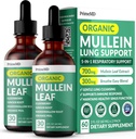 Lungs ve Bronchial için 5in-1 Mullein Drops - Respiratory Lung Health Support with Mullen Leaf Extract for Lungs - Mullein Tincture with Elderberry, Echinacea and Ginger Root (60 hizmet) (2-pack)