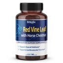 Red Vine Leaf ve Horse Chestnut, Leg Vein Destek, Skin, Heart Wellness - ABD'de Yapılan 50 Flavonoyak