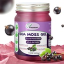 Sea Moss Gel - Φυσικό Wildcraft Irish Sea Moss Gel Non-GMO, Elderberry Flavor 15 OZ