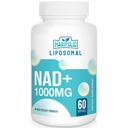 Liposomal NAD+ Supplement 1000 mg | En Yüksek NAD Pontecy | Max Aborpsiyon | Pure NAD Supplement | Enerji ve DNA Tamir, Aging Defense, Brain Function | 60 Softgels