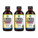 Amazing Herbs Premium Black Seed Oil - Χωρίς γλουτένη, Μη ΓΤΟ, Ψυχρό Πιέζεται Nigella Sativa Aids σε Digestive Υγεία, Ανοσοποιητική Υποστήριξη, λειτουργία εγκεφάλου - 4 Fl Oz (πακέτο των 3)