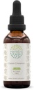 Ceylon Cinnamon B60 Alkol-Free Herbal Extract Tincture, Mekanik Sıvı Drops Natural Cinnamon (Cinnamomum Verum) (2 fl oz)