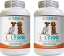 Köpekler için kemik ve Ortak Sağlık - Köpek LYSINE Toz - Pure Toz Form - Immune System Desteği - Vet Önerilen - lysine Bulk - 2 Şişe (16oz 453.6 Grams)