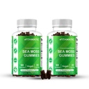 Vitamatic 2 Pack Irish Sea Moss Gummies – 3000 mg Ισοδύναμο ανά υπηρεσία (132,5 mg Extract) – 60 Count – Made with Bladderwrack & Burdock Root – Υποστηρίζει Thyroid, Ενέργεια & Ανοσολογική Υγεία