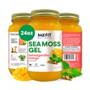 Sea Moss Gel Ashwagandha Mango (25 Flavors) 24oz Vahşi Önlemli Gold Sea Moss Gel Saint Lucia | 92 Vitamin ve Minerals | Pure Raw+Non-GMOMO
