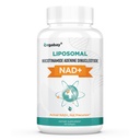 Οργκαμπάι Λιποσωμικό NAD+ Συμπλήρωμα 500 mg, Υψηλή Απορρόφηση, Ενισχύστε NAD+ με TMG 250 mg, Πραγματική NAD Plus Περισσότερα Αποτελεσματική από Νικοτιναμίδη Ριβοζίδιο, Υποστηρίξτε Κυτταρική Ενέργεια, Υγιεινή Γήρανση 60 Softgels