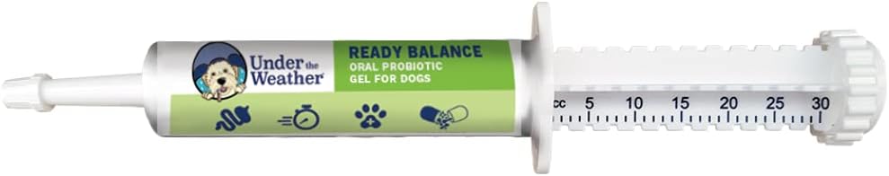 Hava Altında Pet | Köpekler için Denge | Oral Probiyotik ve Prebiyotik Gel