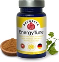 EnerjiTune Enerji Supplements, Nutrient Abceptions ve Genel Sağlık ve Immune Support - Non-GMO, Gluten Free, Vegetarian - Veg Capsules (60 Kont)