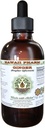 Ginger Alkol Özgür Sıvı Ekstraksiyon, Organik Ginger (Zingiber officinale) kuru Kök Glycerite Hawaii Pharm Natural Herbal Supplement 2 ozz