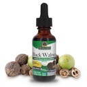 Nature's Answer Black Walnut Hull Extract Alkol Ücretsiz 1 Akış Ounce | Natural Cleanser | Genel olarak İyilik | Gluten-Free | Non-GMO | Vegan | Single Count