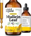 Wild & Organic Mullein Tincture - Lung Cleanse ve Detox - Echinacea ile Lungs için Sıvı Mullein Broşürü - Verbascum Thapsus Drops - Vegan, Sugar & Alkol Ücretsiz Supplement - 4 fl ozzz