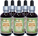 White Willow (Salix Alba) Glycerite, Organik kuru Bark Alkol-FREE Sıvı Ekstraksiyon (Brand adı: HerbalTerra, Proudly ABD'de yapıldı) 5x2 fl.oz (5x60 ml)