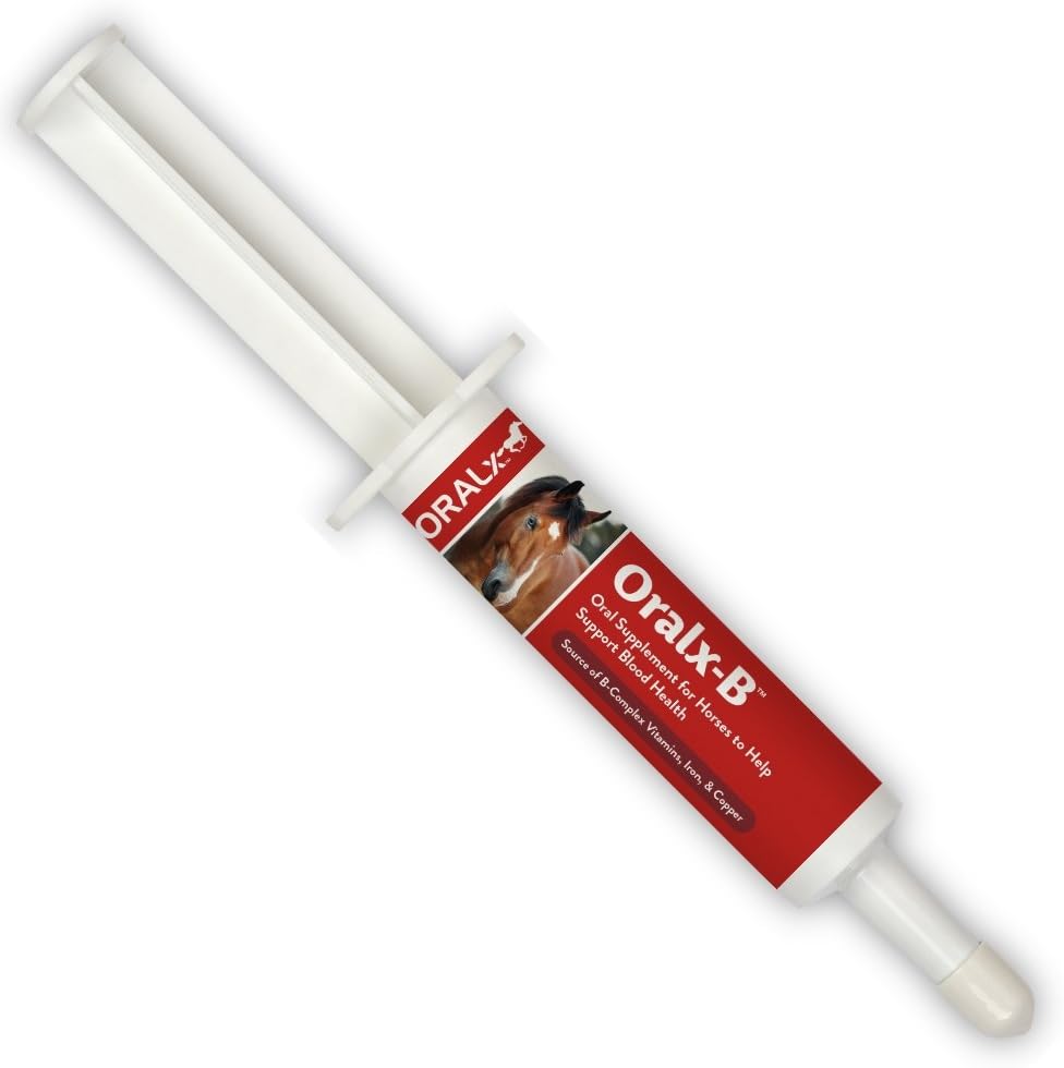 Oralx-B Yüksek Lisans B-Vitamin Kompleksi ve Chelated Mineral ATM. Hard-Working Horses için Beslenme Supplement. Easy-Dose Magnete'de Oral Paste. Garantili Analiz. ABD'de Made in USA.