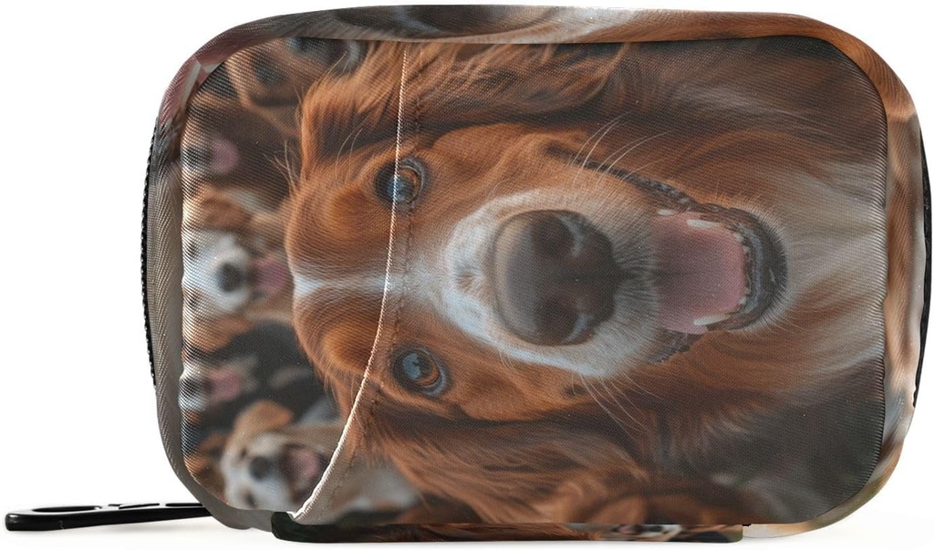 Εβδομαδιαία Pill Organizer Group Dogs Golden Retriever Small Pill Box Portable Travel Pill Case 7 Ημέρες κάτοχος συμπλήρωμα βιταμίνης με Zipper για οικογενειακή επιχείρηση Camping