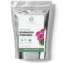Organik Echinacea Purpurea 4 oz. (113g), USDA sertifikalı kuru Echinacea Tea, Premium Quality Herb, Mor Coneflower, Cut & Sifteded