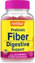 WellYes Prebiyotik Fiber Gummies for Yetişkinler Fiber Supplement for Women and Men - Digestive Health Fiber Supplements - Vegan, Gluten-Free, and Non GMO - Berry Flavor - 60 Count