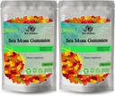 BIO VITALICA Deniz Moss Gummies – Bladderwrack & Burdock Root – Wildcrafted Gel + Toz – Vegan, Keto, Non-GMO, Gluten-Free – Meyve Mineral-Rich Gummies – 50 Count (2 Pack)