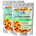 BIO VITALICA Deniz Moss Gummies – Bladderwrack & Burdock Root – Wildcrafted Gel + Toz – Vegan, Keto, Non-GMO, Gluten-Free – Meyve Mineral-Rich Gummies – 50 Count (2 Pack)