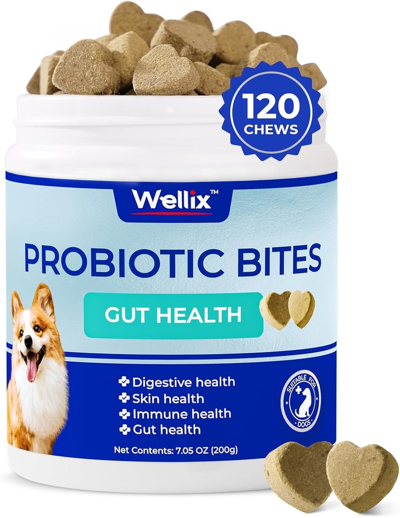 Köpekler için Probiyotikler - Dog Probiyotik Chews for Dog Digestive Health, Engeller Diarrhea, Allergies - Anti Diarrhea, Upset Stomach & Gas Relief