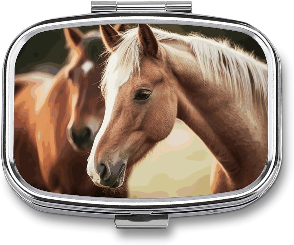 Pill Box 2 Karşılaştırma Tıp Pill Case Adorable Horse Basalı Pill Box Travel Pill Organizer for Pocket Purse Daily Medicine Vitamin Box Fish Oil Box Supplement Box