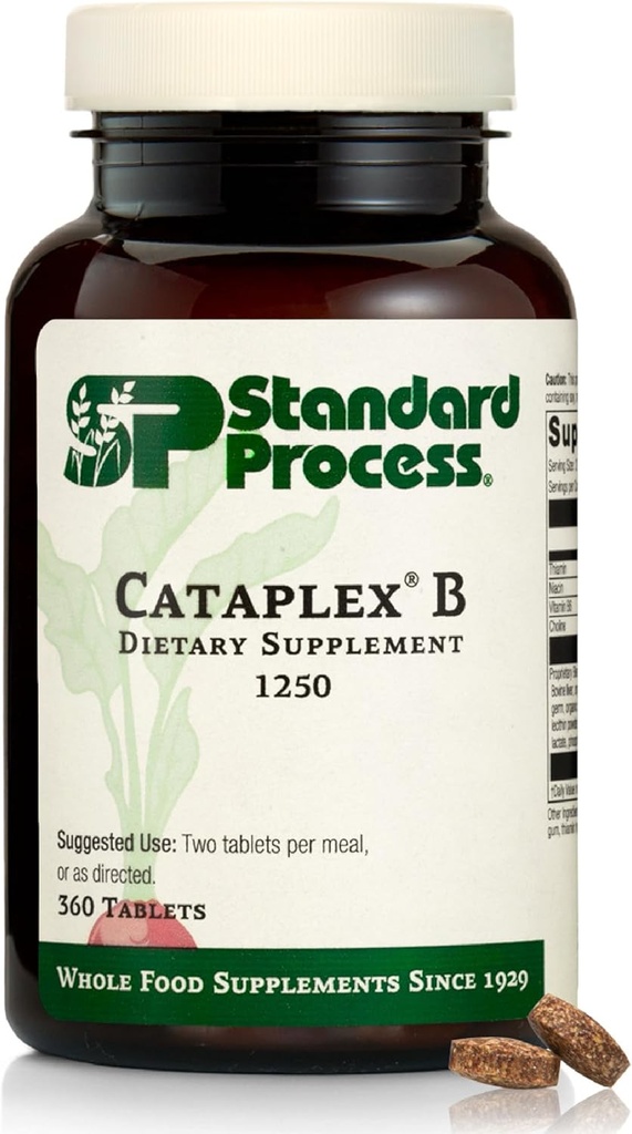 Standart Süreç Cataplex B - Niacin, Vitamin B6, Thiamine ve Inositol for Heart Health, Metabolism ve Cholesterol Bakım - 360 Tabletler