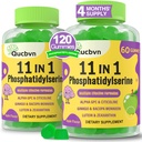 (2 Packs) Phosphatidylserine 600 mg Gummies, Brain Supplement for Memory, Focus and Concentration - Phosphatidylserine Memory Supplement with Alfa GPC, B6 & B12 for Brain and Cognitive, 120 Gummies