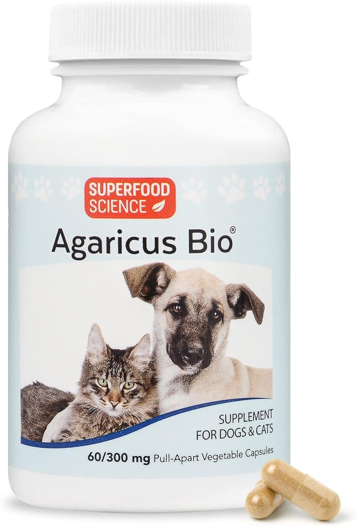 Agaricus Bio 300mg για τους κυνόδοντες και τα αιλουροειδή, Beta Glucan Mushroom Pet συμπλήρωμα για την ενίσχυση της κριτικής ανοσοποίησης & κυτταρική υγεία, αντιοξειδωτική σκόνη, ενεργειακή υποστήριξη για τα παλιά σκυλιά και γάτες, 60 καπάκια