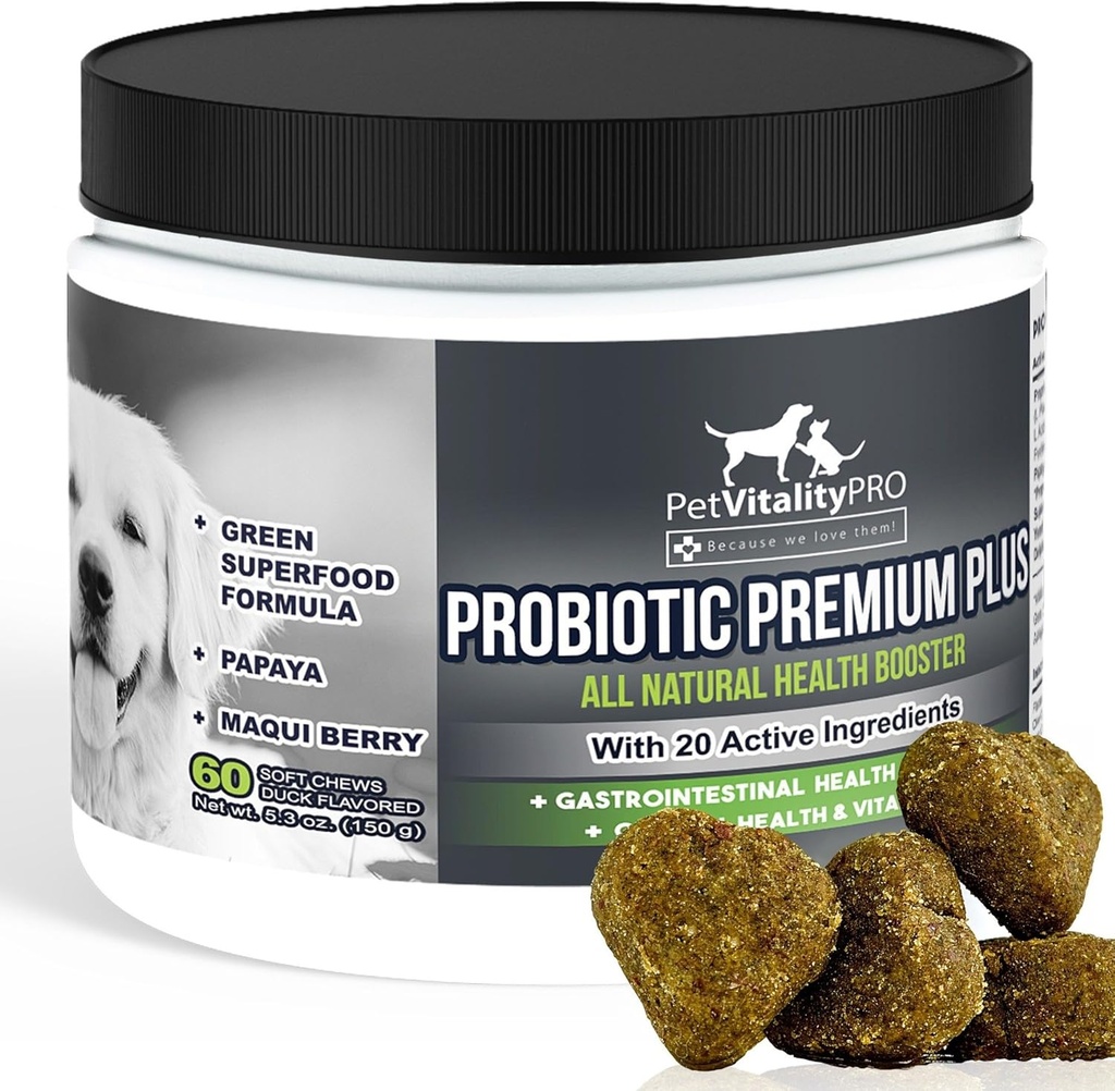 Doğal Digestive Enzymes ile Köpekler için Probiyotikler ● 4 Bill CFUs/2 Soft Chews ● Dog Diarrhea Upset Stomach Yeast Gas Bad Breath Immunity Allergies Skin Itching Hot Spots