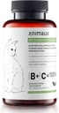 animaux - Kediler için besinler, Tüm Doğal Kedi Vitaminleri, Cat Essentials Immune System & Natural Hücre Koruma, Sağlıklı Skin & Shiny Coat, 120 Chewable Tabletler, 120 Gün Supply