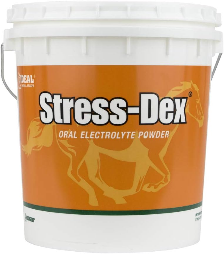 Άγχος-Dex 12lb, Πορτοκαλί