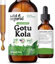 Wild & Organic Gotu Kola Herb Tincture - Beyin Desteği - Gotu Kola Sıvı Ekstraksiyon - Vegan, Sugar & Alkol-Free Centella Asiatica Supplement - 2 fl oz