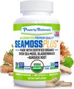 Power By Naturals SeaMoss Plus - USDA Organik İrlandalı Deniz Moss Capsules w/Wild Harvested Irish Seamoss, Bladderwrack & Burdock Root Immunity Supplement Sea Moss Pills for Adult 60Ct - 1 Pack