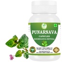 Punarnava Capsules (Boerhaavia Diffusa) 500 mg - 60 Veg Capsules | Herbal Wellness Supplement for Natural Kidney & Liver Support | Plant-Based Detox & Cleansing Formula | Pack of 1