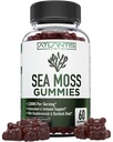 İrlandalı Deniz Moss Gummies - 3000MG - Formulaed w / İrlandalı Deniz Moss, Bladderwrack & Burdock Root, Contain Essential Vitamin & Mineral - Antioksi-Rich Superfood Supplement, 60 Sea Moss Gummies for Yetişkinler