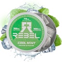 Nootropic Energy Caffeine Pouches • 100 mg Caffeine • Alfa GPC • Huperzine A & Essential Vitaminler • Sugar-Free • Coconut Fiber Teknolojisi • Cool Mint Flavor • 1 Pouches Per Can (Pack of 1)