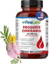 GüzelLand Prosopis Cineraria 40:1 Ekstraksiyon – 28,000 mg Max Strength – Full Spectrum – Destekler Cholesterol, Circulation & Arterial Health – Non-GMO, Gluten Free – 60 Vegan Capsules