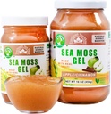 Wildcrafted Irish Sea Moss Gel | ABD'de Yapılan | Vitaminler ve Mineraller | Deniz Moss Gel Raw | Beslenme Supplement | Apple (16 oz)