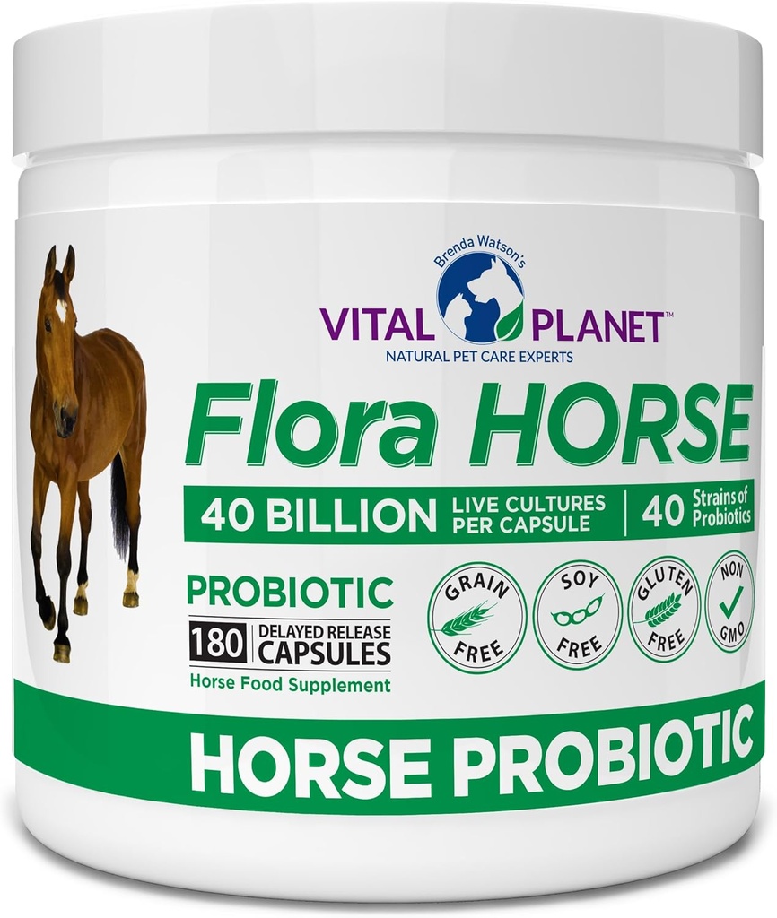 Vital Planet - Flora Horse Probiyotik, High Potency Equine Probiyotiks with Prebiyotiks, 40 milyar Live CFU from multiple Strains, Digestive and Immune Support, 180 Gecikme Kapsülleri (180 Gün)