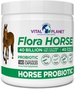 Vital Planet - Flora Horse Probiyotik, High Potency Equine Probiyotiks with Prebiyotiks, 40 milyar Live CFU from multiple Strains, Digestive and Immune Support, 180 Gecikme Kapsülleri (180 Gün)