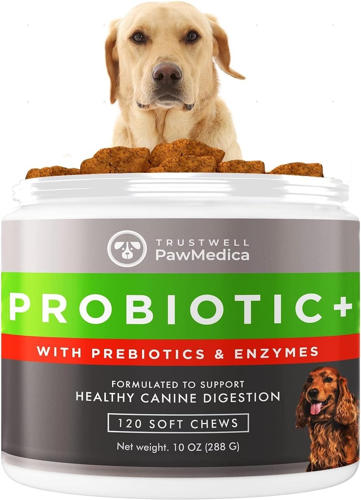 PawMedica Dog Probiyotiks ve Digestive Enzymes, ABD'de yapılan Köpekler için Probiyotikler, Köpekler için Pet Probiyotik Chews, Prebiyotiks & Probiyotik Dog Digestive Support, Probiyotikler - 120 Dog Probiyotik Chews