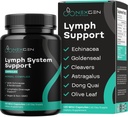 Herbal Lymph System Support Supplement - Lymphatic Support Complex with Echinacea Goldenseal Astragalus & Hydroxytyrosol for Lymphatic Drainage & Immune Support - Vegan Non-GMO Gluten Free (2 ay)